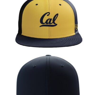 Caledonia MB Flat Brim Flex Fit Hat Thumbnail